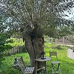 Le Moulin D'hagenthal