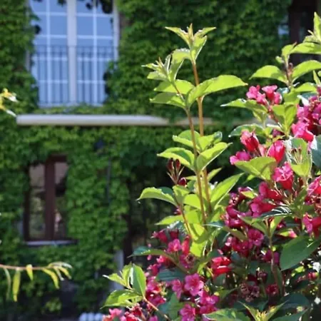 Le Moulin D'hagenthal *