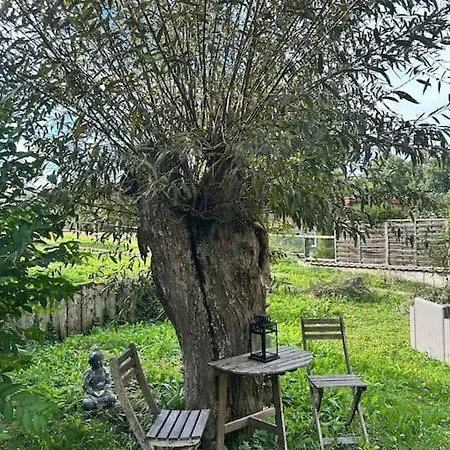 Le Moulin D'hagenthal